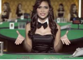 8868网页登录入口2024最新版